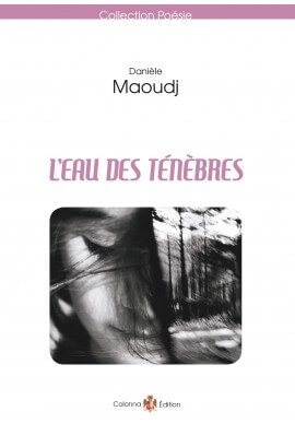 L'Eau des ténèbres
